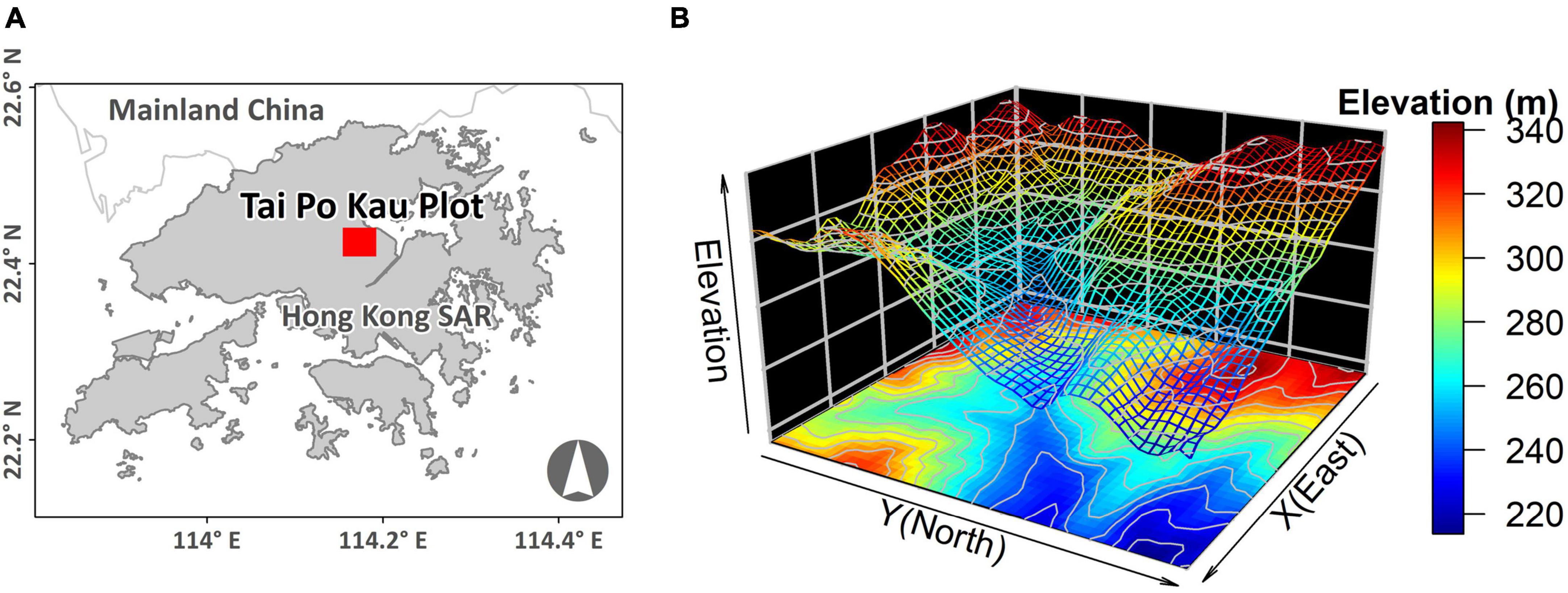 Monoculture plantations impede forest recovery: Evidence from the regeneration of lowland subtropical forest in Hong Kong